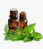 Peppermint essential oil (Mentha piperita) 10ml - Image 2