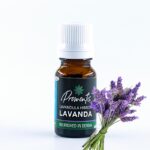 Lavender essential oil (Lavandula angustifolia) 10ml