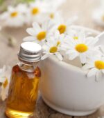 Roman Chamomile Essential Oil (Chamaemelum nobile) 5ml - Image 2