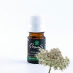 Essential oil Wild carrot seeds 5ml