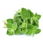 Hidrolat divljeg origana 100ml